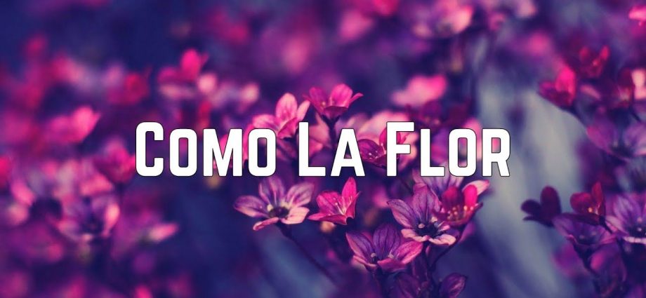 Como La Flor Lyrics