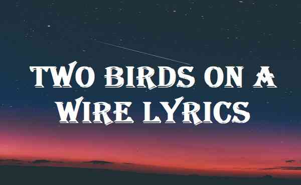 Two Birds on a Wire